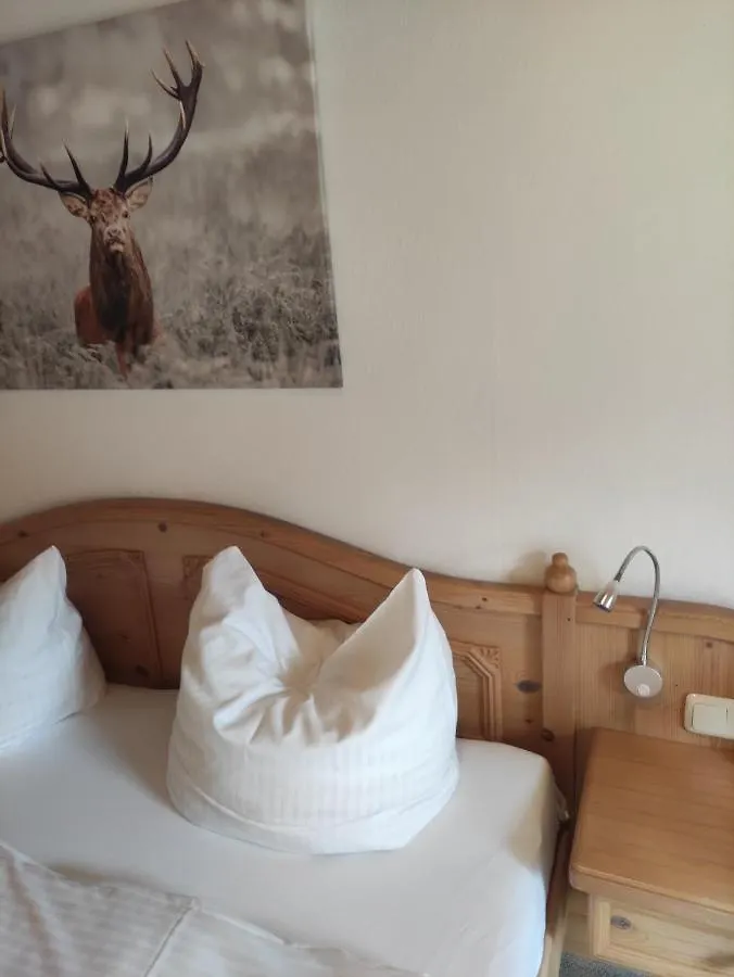 Pension Weisser Hirsch Fussen 3*,