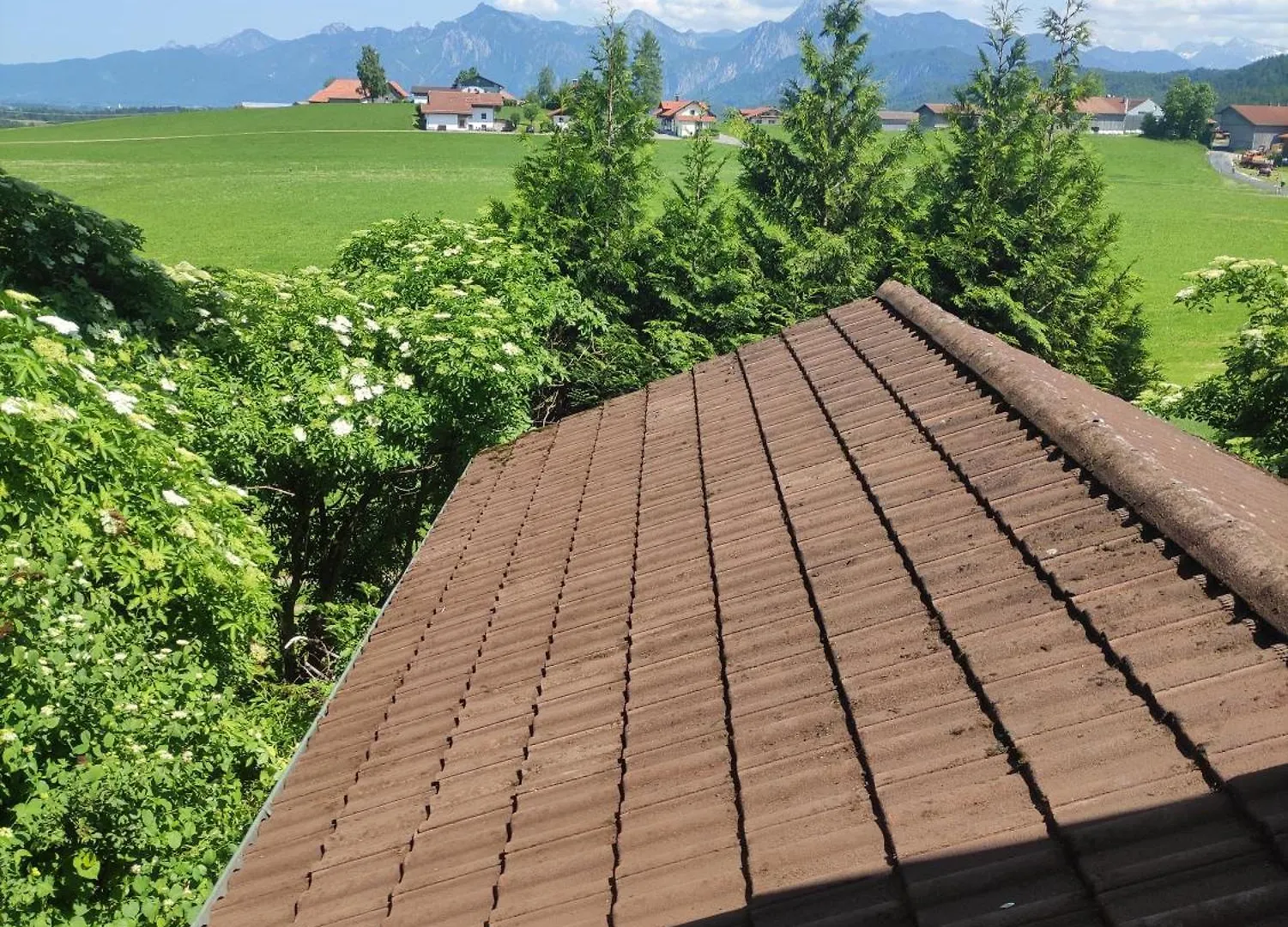 Pension Weisser Hirsch Fussen Germany
