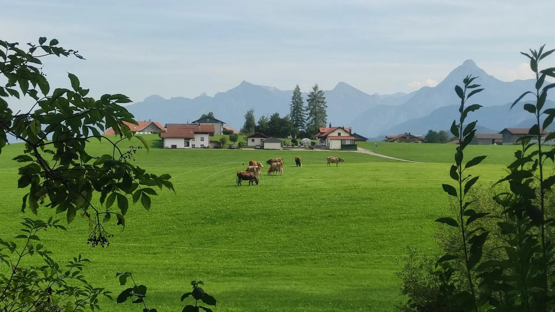 Bed & Breakfast Pension Weisser Hirsch Fussen